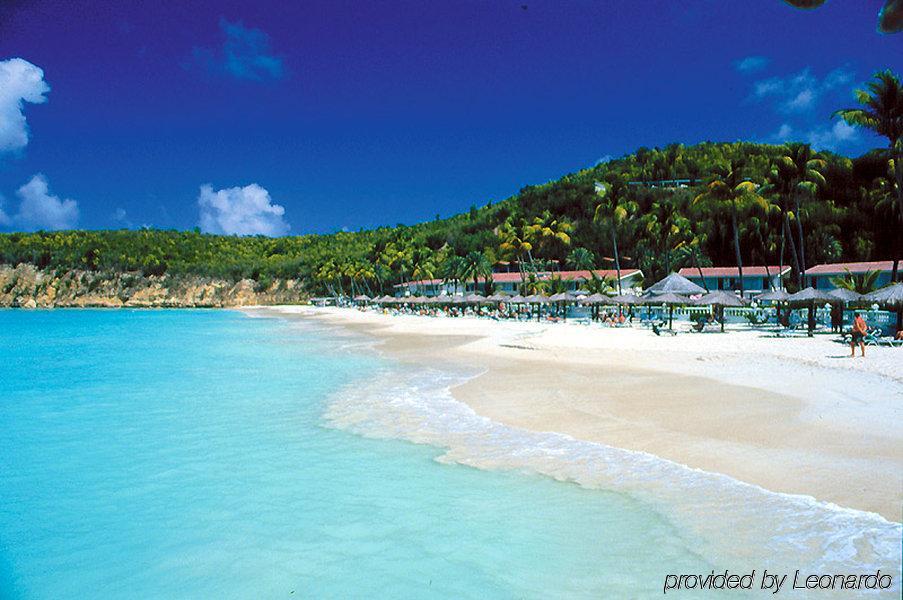 Hotel Starfish Halcyon Cove à Dickenson Bay Extérieur photo