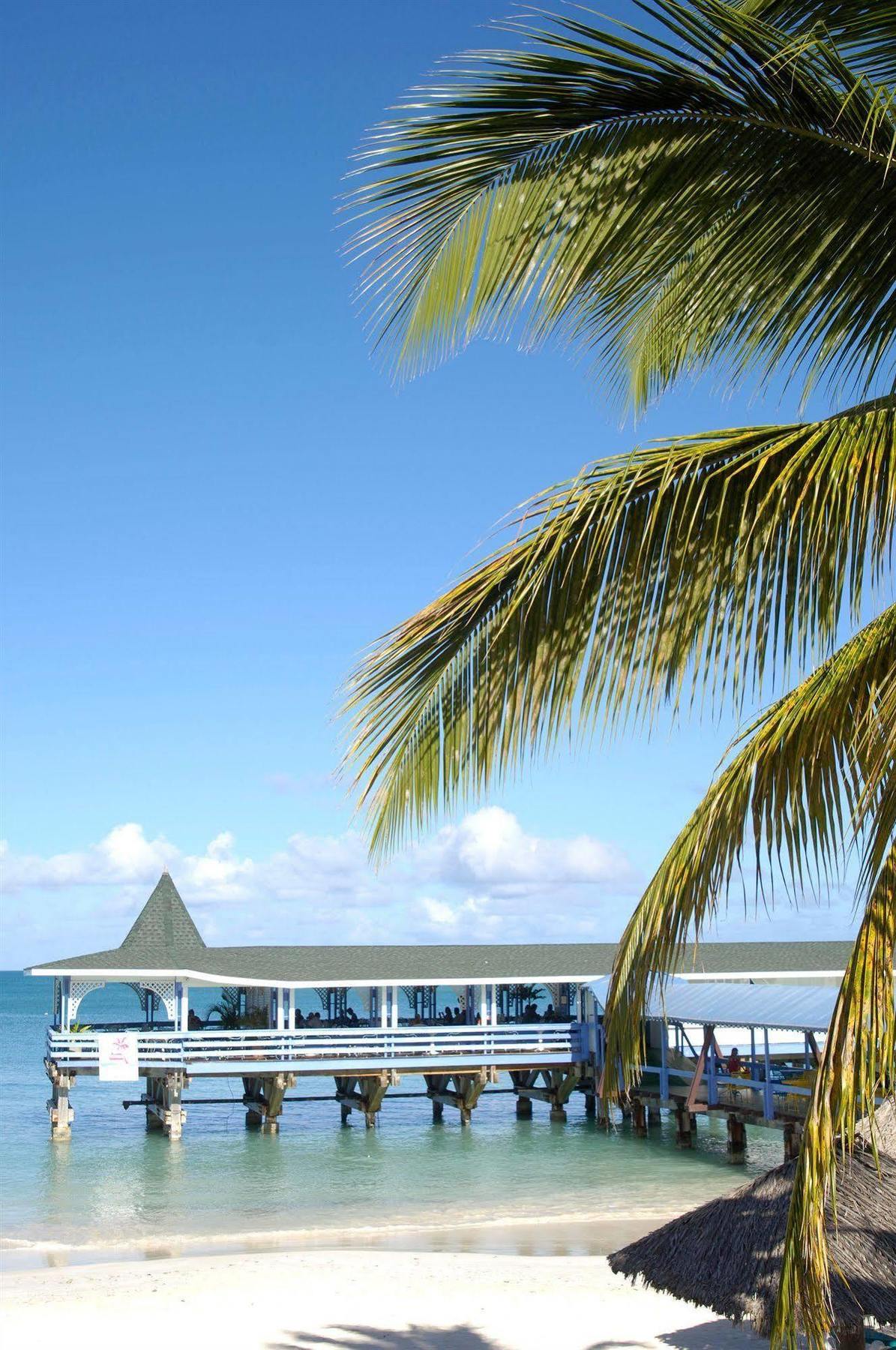 Hotel Starfish Halcyon Cove à Dickenson Bay Extérieur photo